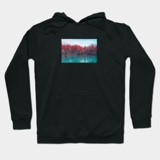 Shirogane Blue Pond Hoodie